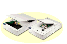 Epson  Perfection Scanner